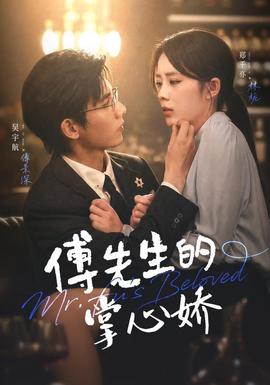 傅先生的掌心娇 2026 短剧 海报