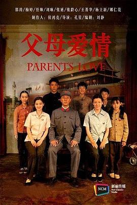 父母爱情 2014 电视剧 海报