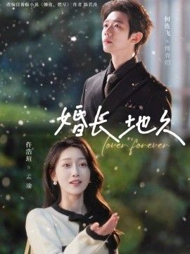 婚长地久 2026 短剧 海报