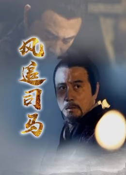 风追司马 2012 纪录片 海报