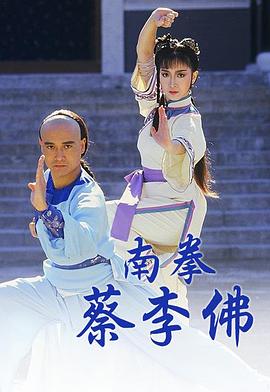 南拳蔡李佛 1988 电视剧 海报