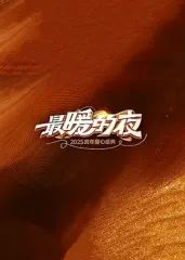 最暖的夜——2026跨年爱心盛典 2025 综艺 海报