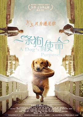一条狗的使命（国语版） 2017 电影 海报