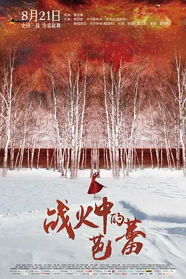 战火中的芭蕾[电影解说] 2015 电影解说 海报