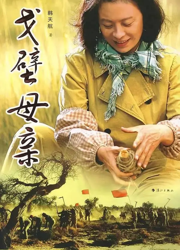 戈壁母亲 2007 电视剧 海报