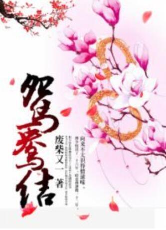 鸳鸯结 2023 电视剧 海报