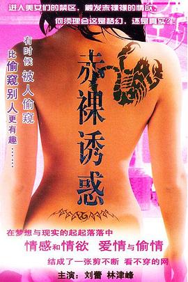 南北有情天 2011 电视剧 海报