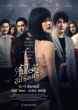吹落的树叶 2019 电视剧 海报