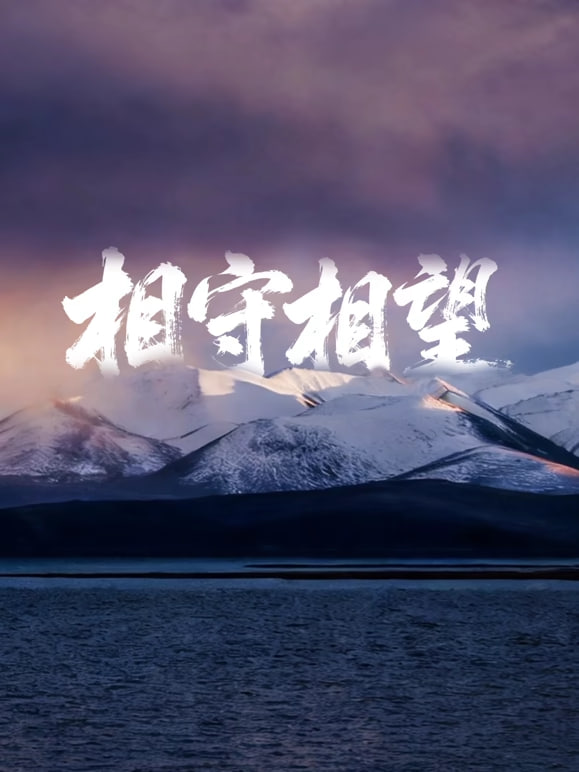 相守相望暨守护哈拉湖行动 2026 综艺 海报