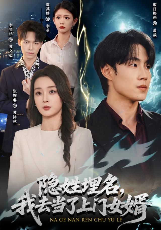 隐姓埋名，我去当了上门女婿 2026 短剧 海报