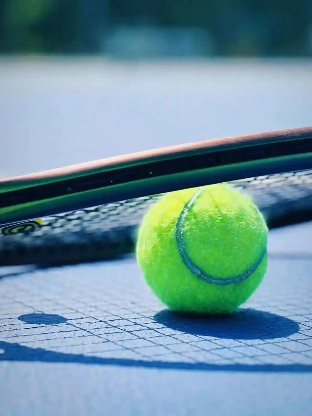 WTA1000多伦多站女单第二轮：贝莱克VS斯瓦泰克 综艺 海报