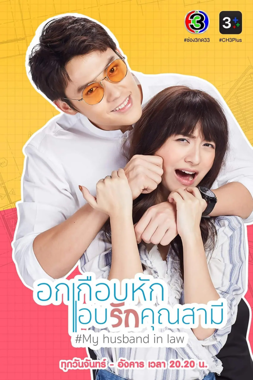 我的法定丈夫 2020 电视剧 海报