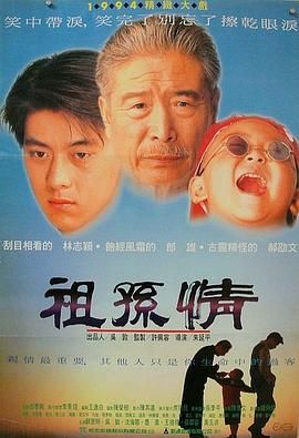 祖孙情 1995 电影 海报