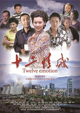 十二情感 2010 电影 海报