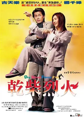 干柴烈火[电影解说] 2002 电影解说 海报