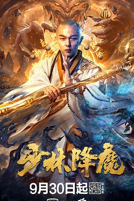 少林降魔 2020 电影 海报