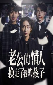 老公的情人换走了我的孩子 2024 短剧 海报