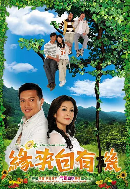 缘来自有机 2007 电视剧 海报