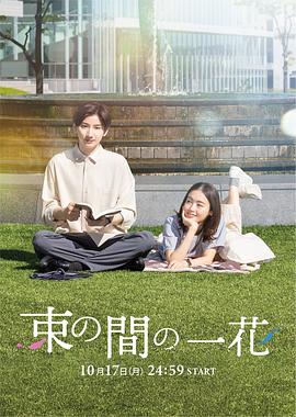 一霎一花 2022 电视剧 海报