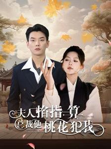 夫人掐指一算总裁他桃花犯我 2024 短剧 海报