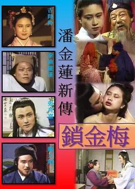 锁金梅 1993 电影 海报