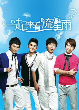 一起来看流星雨 2009 电视剧 海报