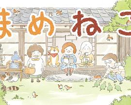 豆豆猫 2018 动漫 海报