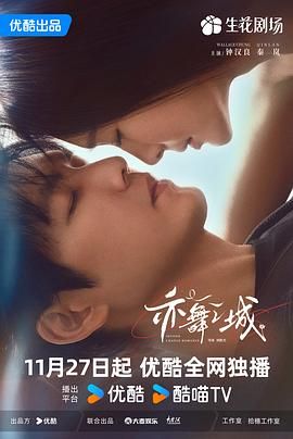 亦舞之城 2025 电视剧 海报