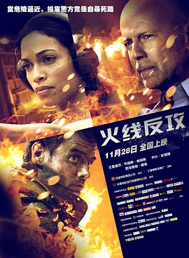 火线反攻 2012 电影 海报