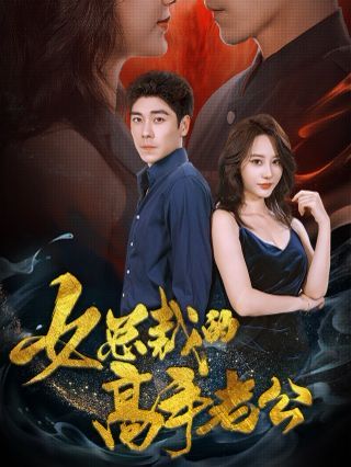 女总裁的高手老公 2024 短剧 海报