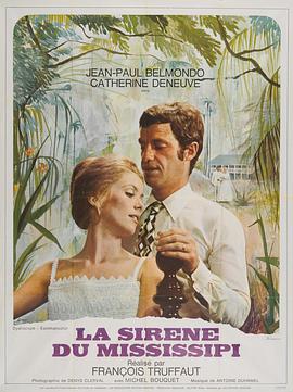 骗婚记 1969 电影 海报