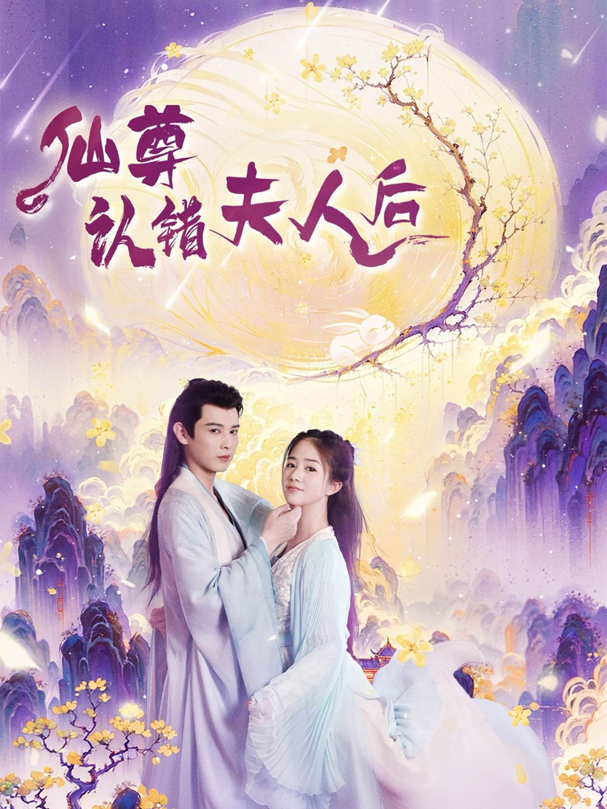 仙尊认错夫人后 2024 短剧 海报