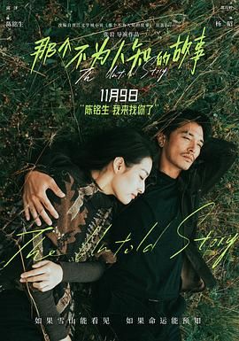 那个不为人知的故事 2024 电影 海报