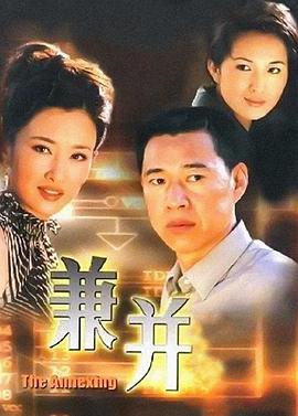 兼并 2001 电视剧 海报