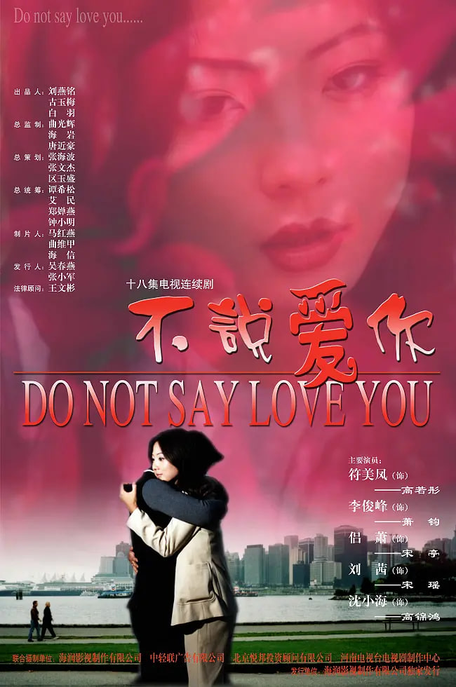 不说爱你 2002 电视剧 海报