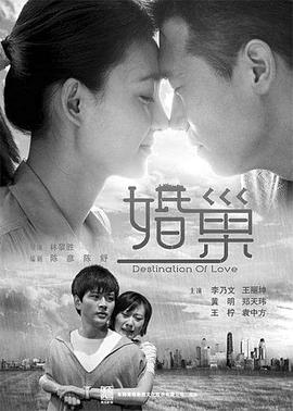 婚巢 2012 电视剧 海报