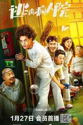 逃离疯人院 2024 电影 海报