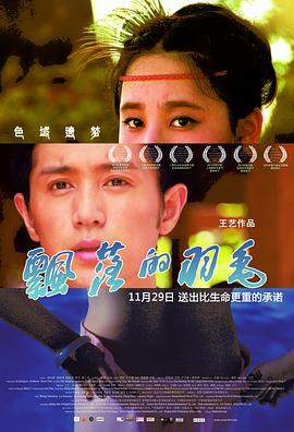 飘落的羽毛 2013 电影 海报