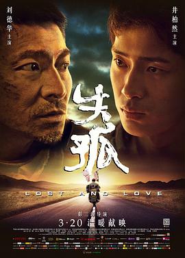 失孤 2015 电影 海报