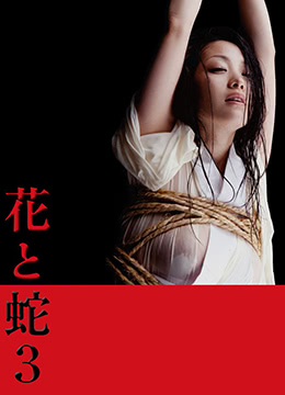花与蛇3 2010 电影 海报