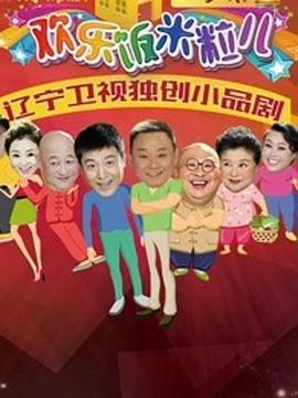 欢乐饭米粒儿2 2017 电视剧 海报