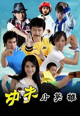 功夫之王 2008 电视剧 海报