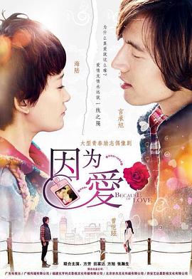 因为·爱 2013 电视剧 海报