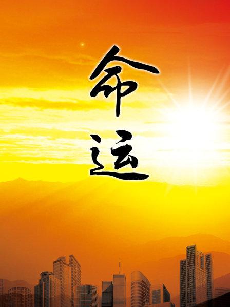 命运 1999 电视剧 海报