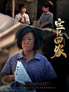 宝贝回家短剧 2024 短剧 海报