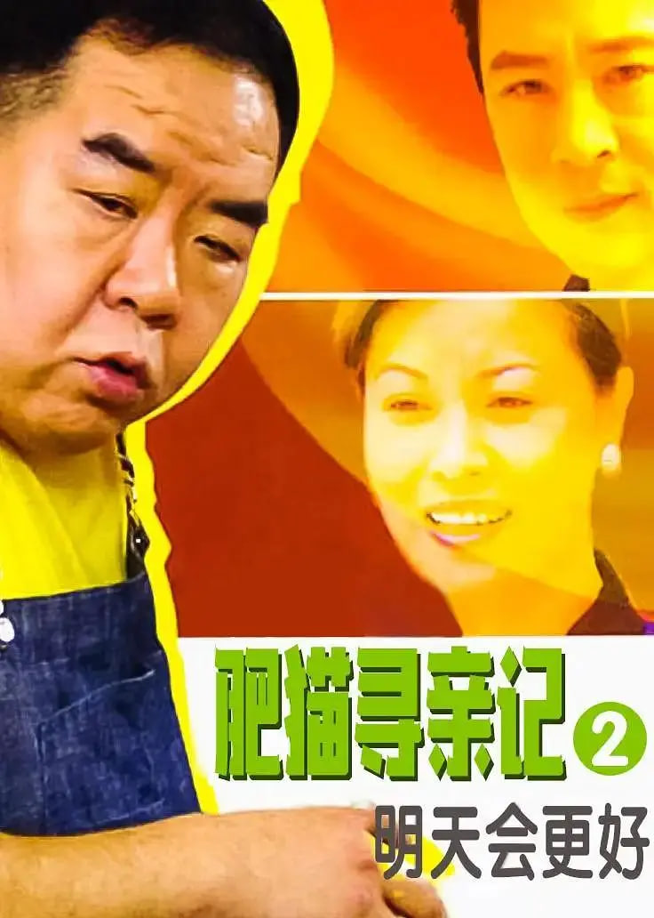 肥猫寻亲记之明天会更好 2005 电视剧 海报