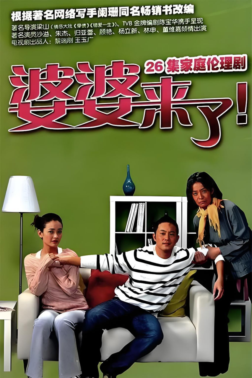 婆婆来了 2011 电视剧 海报