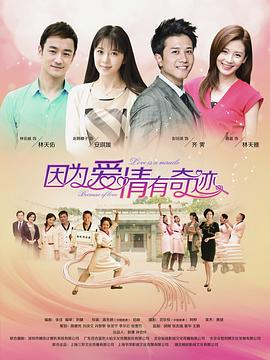 因为爱情有奇迹 2014 电视剧 海报