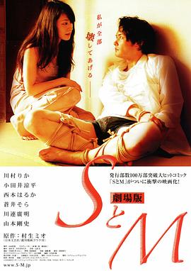 S与M 2009 电影 海报