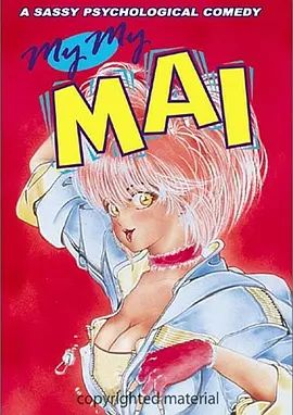 美女万事屋 1993 动漫 海报